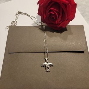 Dolphin pendant on silver box chain